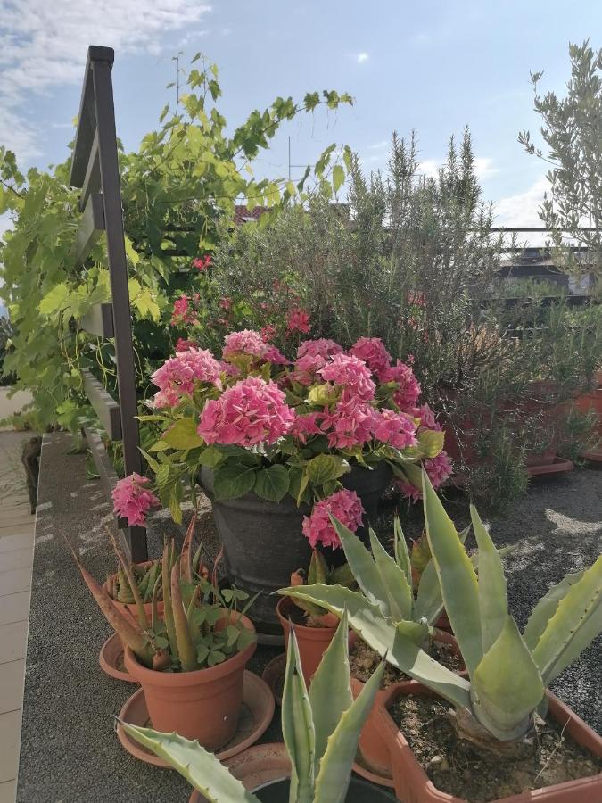 Lavanda Apartment Izola Dış mekan fotoğraf